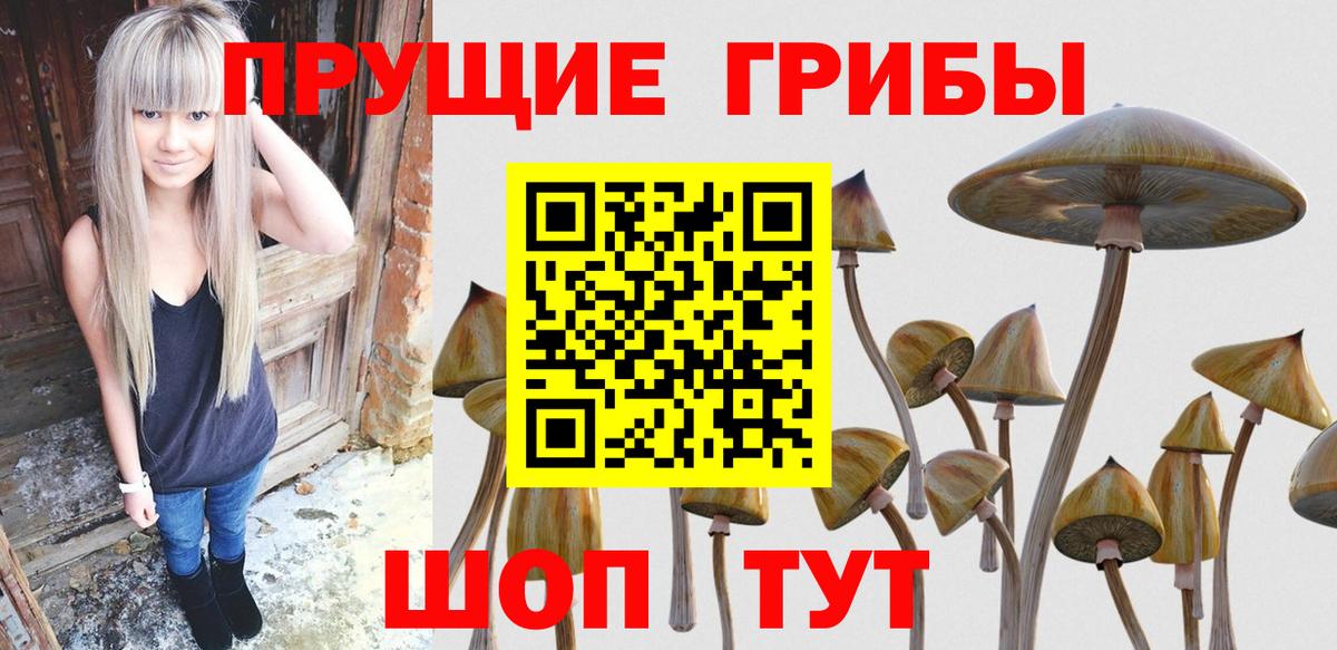 Галлюциногенные грибы прущие грибы  Вход с VPN  Тюмень 